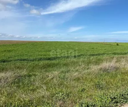 Участок в Крым, Ленинский район, с. Калиновка ул. Абденановой (50.0 ...