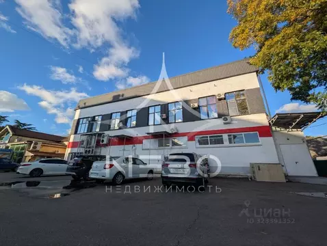 Помещение свободного назначения в Краснодарский край, Сочи городской ...