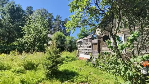 Участок в Ленинградская область, Гатчинский муниципальный округ, ...