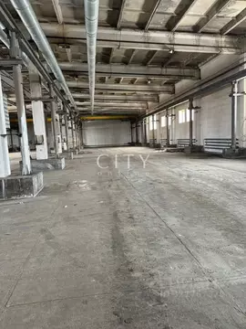 Производственное помещение в Тюменская область, Ишим Деповская ул., 2 ...