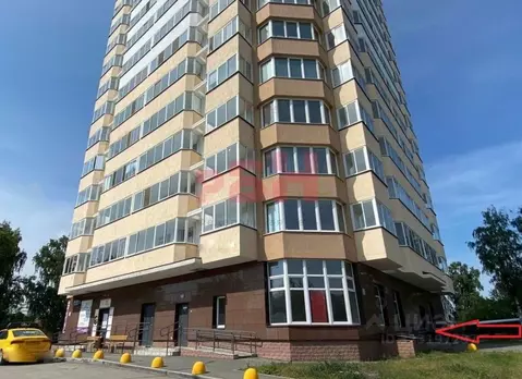 Торговая площадь в Свердловская область, Екатеринбург ул. Самолетная, ...