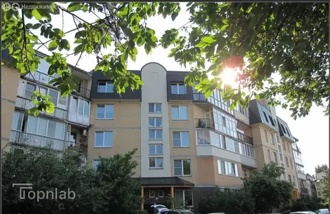 4-комнатная квартира: Санкт-Петербург, 1-я Утиная улица, 28 (115 м)