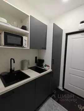 Студия Санкт-Петербург Каменноостровский просп., 47 (18.0 м)