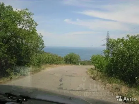 Участок в Крым, Алушта  (113.0 сот.)