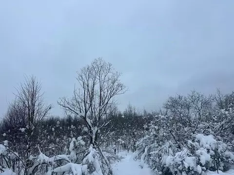 Участок в Московская область, Рузский муниципальный округ, д. ...