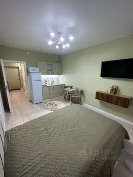 Студия Санкт-Петербург бул. Александра Грина, 4 (25.0 м)