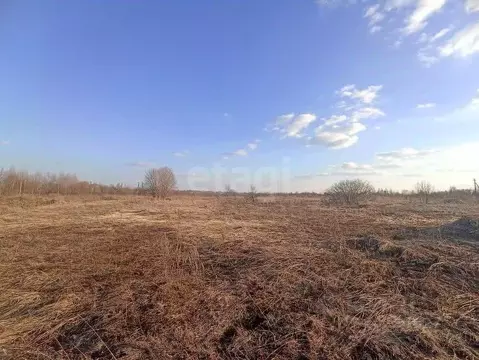 Участок в Костромская область, Красное-на-Волге пгт, пос. Птицефабрика ...