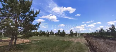 Участок в Алтайский край, Первомайский район, с. Фирсово, Рощино мкр ...