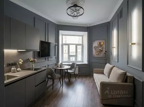 Студия Санкт-Петербург 2-я Васильевского острова линия, 25 (23.0 м)