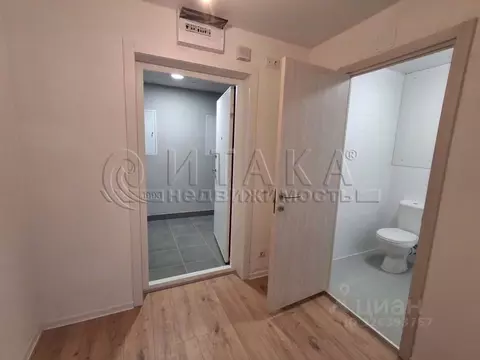 Студия Ленинградская область, Всеволожский район, д. Новое Девяткино ...