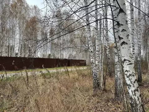 Участок в Тюменская область, Нижнетавдинский муниципальный округ, ...