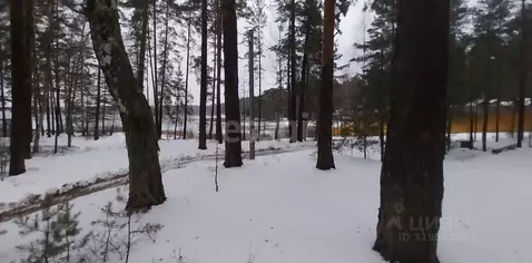 Участок в Нижегородская область, Навашинский муниципальный округ, с. ...
