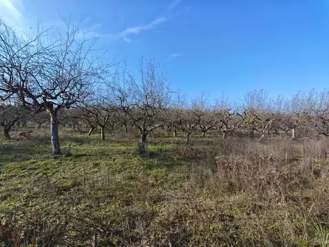 Участок в Кабардино-Балкария, Нальчик пл. 400-летия (6.5 сот.)