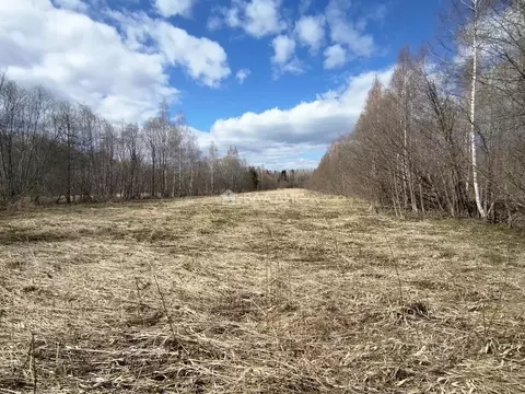 Участок в Карелия, Кондопожский муниципальный район, Кончезерское ...
