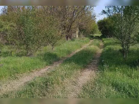 Участок в Ленинградская область, Киришский район, Кусинское с/пос, ...