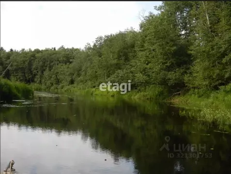 Участок в Ленинградская область, Лужский район, Заклинское с/пос, д. ...