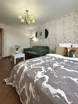 1-к кв. Амурская область, Благовещенск Зейская ул., 269 (42.0 м)