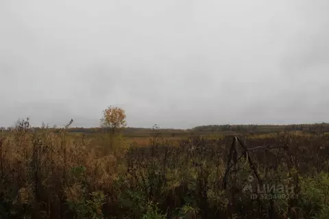 Участок в Московская область, Шаховская муниципальный округ, с. Белая ...