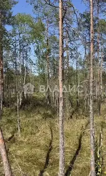 Участок, 10 сот., сельхоз (снт или днп)