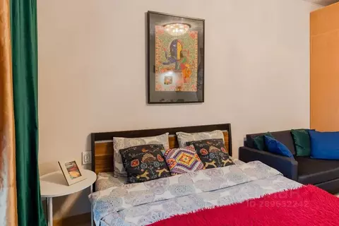 Студия Ленинградская область, Мурино Всеволожский район, аллея ...