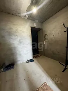 Студия Амурская область, Белогорск Парковый пер., 8 (31.0 м)