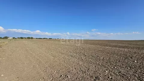 Участок в Крым, Первомайский район, с. Алексеевка  (1079.6 сот.)