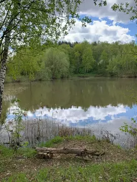 Участок в Московская область, Подольск городской округ, д. Кутьино  ...