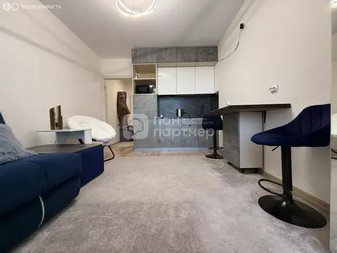 Квартира-студия: Санкт-Петербург, набережная реки Каменки, 19к1 (20.9 ...