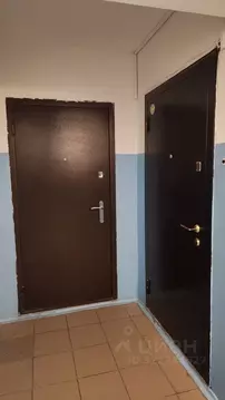 2-к кв. Рязанская область, Рязань Песочня тер., ул. Зубковой, 18к10 ...