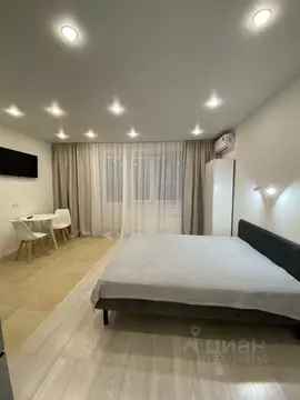 Студия Москва ул. Харлампиева, 50к2 (31.0 м)