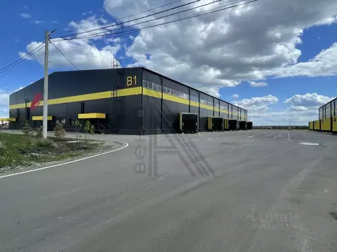 Производственное помещение в Воронежская область, с. Новая Усмань ...