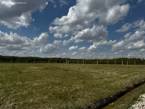 Участок в Московская область, Дмитровский муниципальный округ, дачный ...