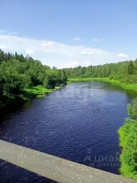 Участок в Ленинградская область, Тихвинский район, Ганьковское с/пос, ...