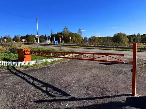 Участок в Московская область, Дмитровский муниципальный округ, Форест ...