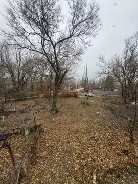 Участок в Ростовская область, Новочеркасск № 2 АО Магнит садовое ...