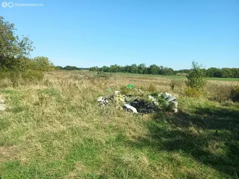 Участок в Новотитаровское сельское поселение, село Примаки, 159 (50 м)