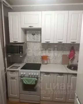 1-к кв. Тюменская область, Тюмень ул. 30 лет Победы, 79А (30.0 м)