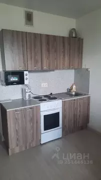 Студия Московская область, Ногинск Богородский городской округ, ул. ...