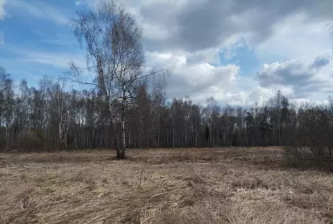 Участок в Московская область, Дмитровский муниципальный округ, д. ...