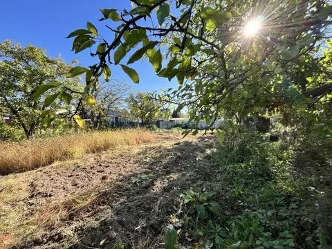Участок в Нижегородская область, Нижний Новгород д. Малая Ельня, Луч ...