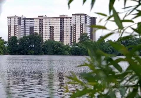 Помещение свободного назначения в Московская область, Старая Купавна ...