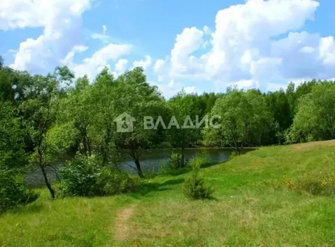 Участок в Нижегородская область, Богородский муниципальный округ, с. ...