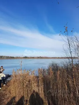 Участок в Тюменская область, Нижнетавдинский район, Ключевское с/пос, ...