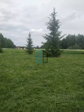 Участок в Московская область, Клин городской округ, д. Грешнево  ...