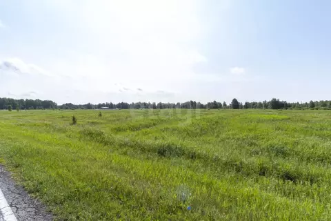 Участок в Тюменская область, Тюменский район, д. Марай  (4.0 сот.)