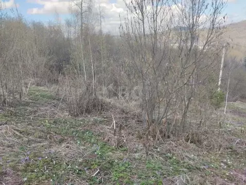 Участок в Алтай, Горно-Алтайск ул. Киселева, 55 (8.5 сот.)