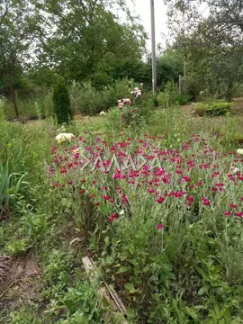 Участок в Ростовская область, Аксайский район, Большелогское с/пос, ...