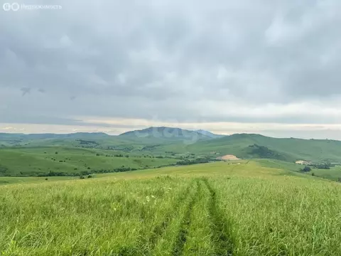 Участок в Алтайский район, ДНТ Жемчужина Алтая (10.15 м)