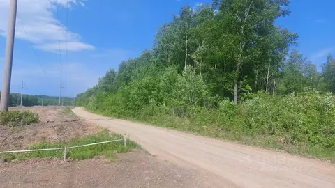 Участок в Хабаровский край, Хабаровский район, Мичуринское с/пос, с. ...