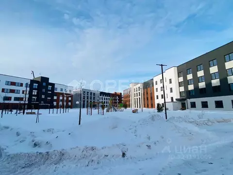 Студия Тюменская область, Тюменский муниципальный округ, с. Горьковка ...